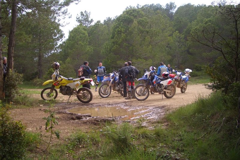 CIMG3135 [800x600]_jpg